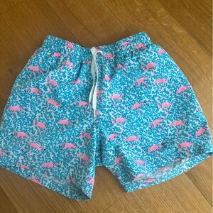 Chubbies Teal and Pink Patterned Shorts